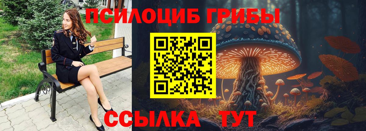 Саранск  Галлюциногенные грибы ЛСД  даркнет сайт  Вход с VPN  Псилоцибиновые грибы Cubensis 