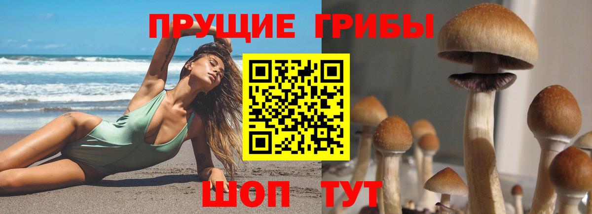Псилоцибиновые грибы мухоморы Саранск